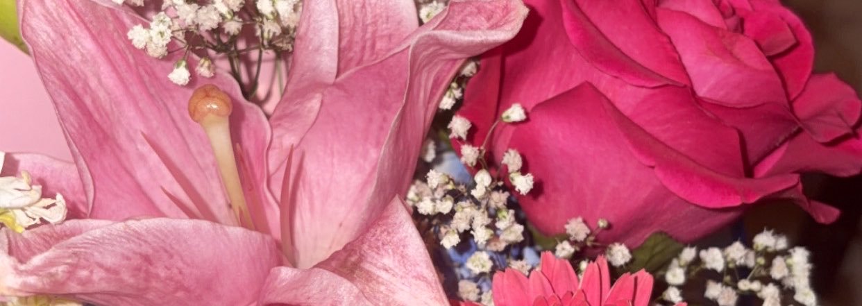 Sigilmarks's profile banner image