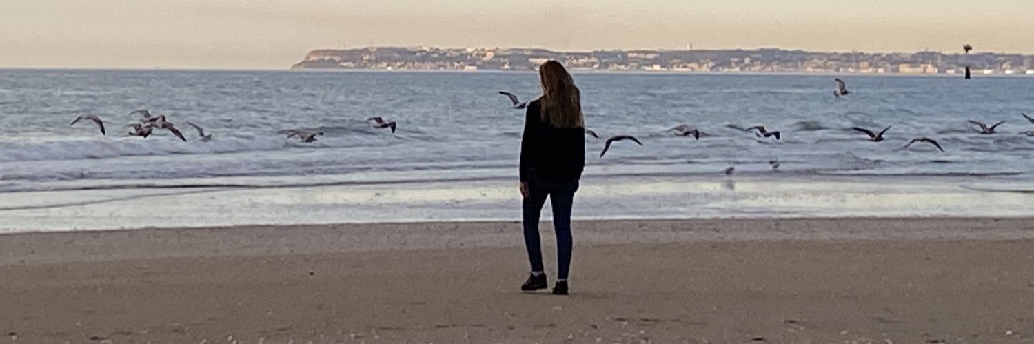 Ana Alice Bastos banner