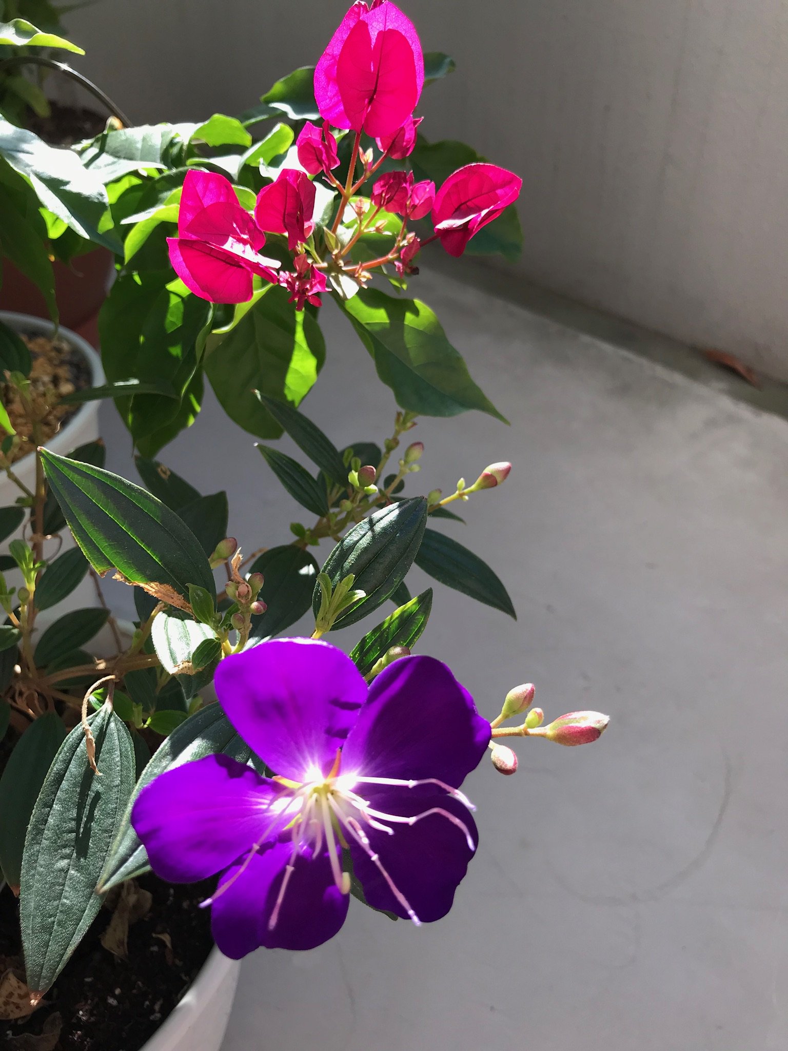 Cherio0093's profile banner image