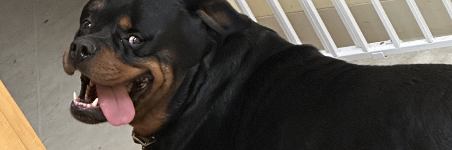 mzoeeh's profile banner image