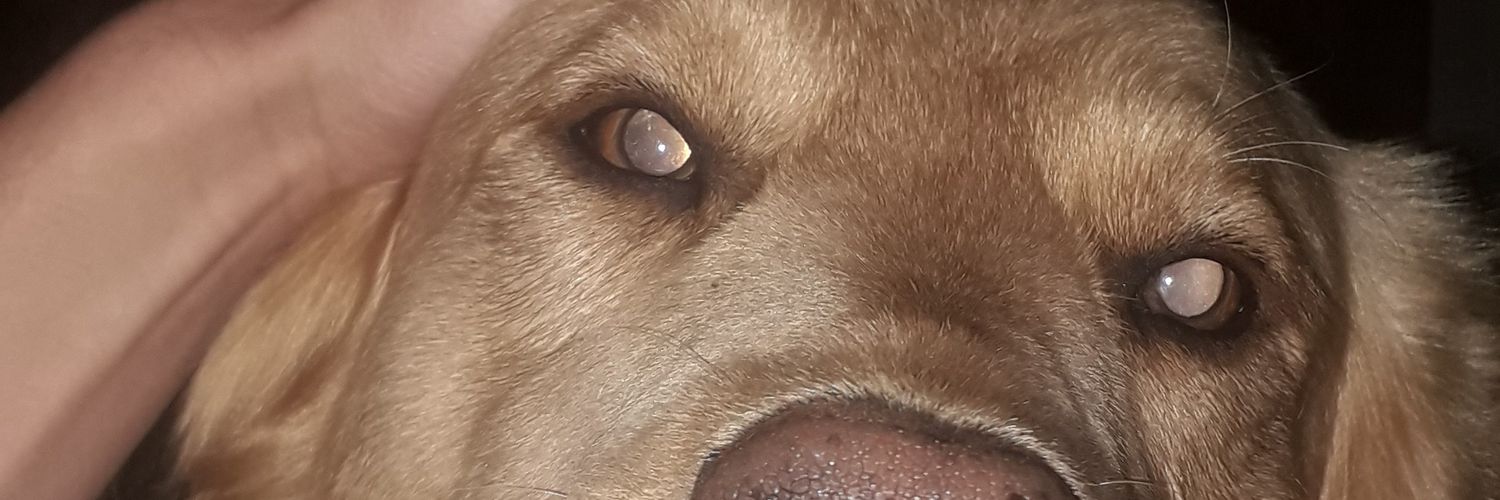 juampiimurillo's profile banner image