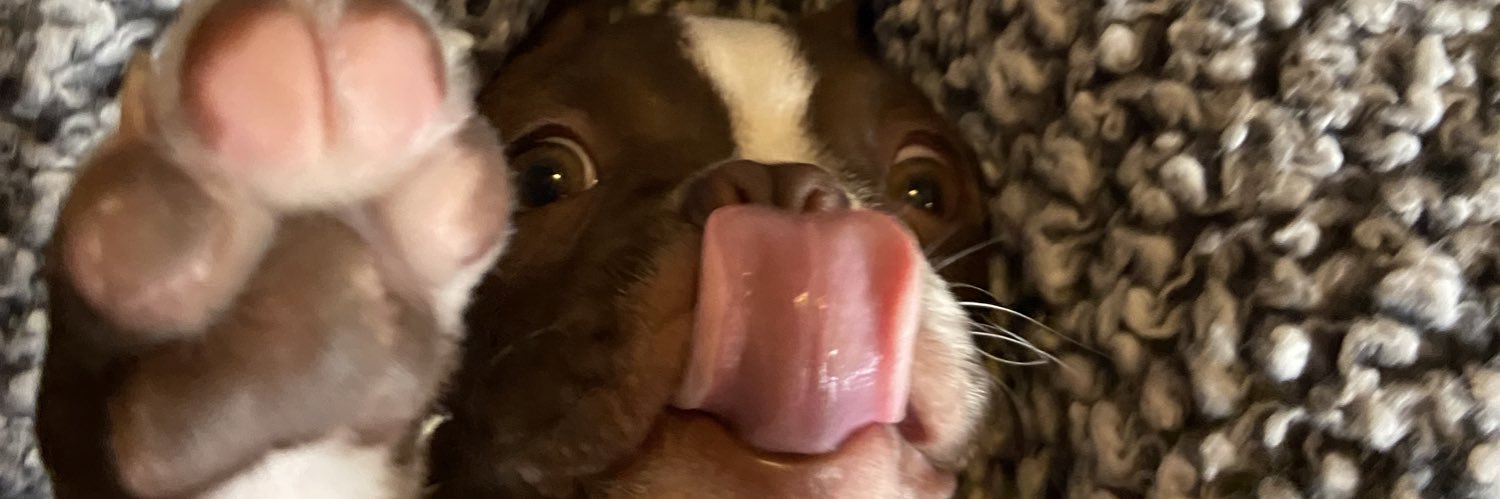 justinhowe_'s profile banner image