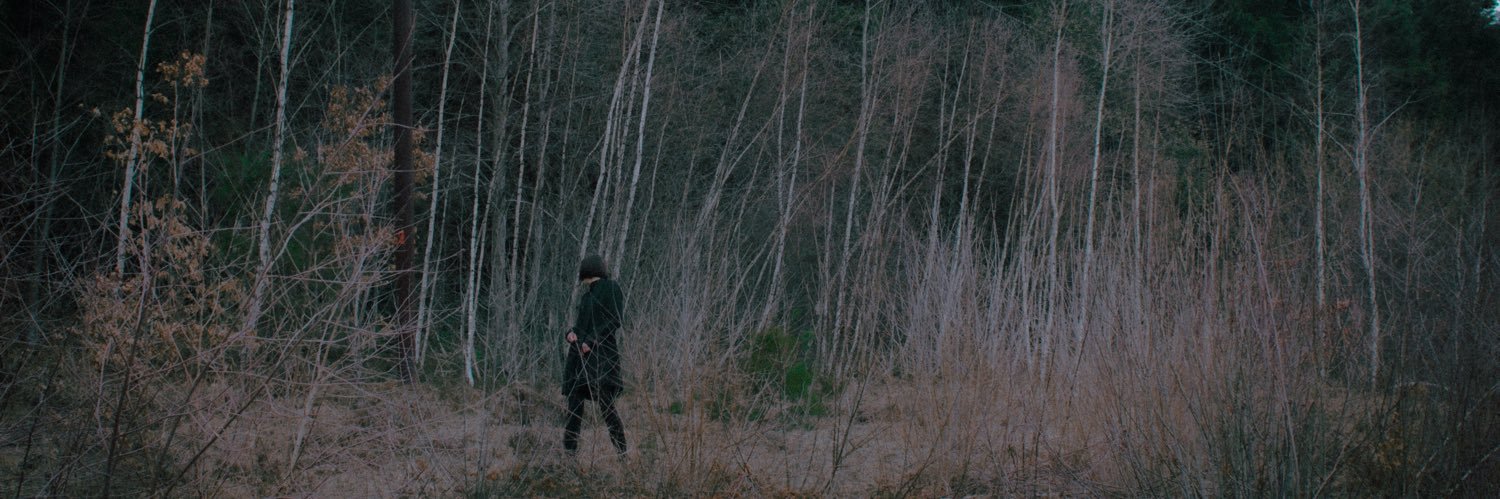 lanadrielll's profile banner image