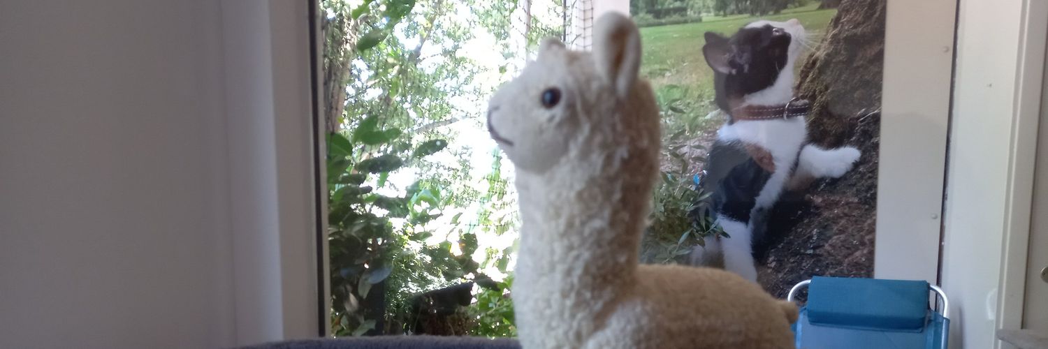 AlpacaAlfredo's profile banner image