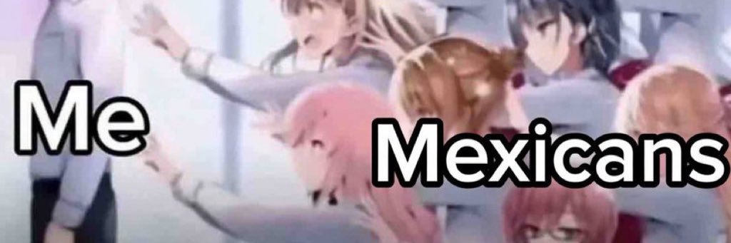 nyan banner