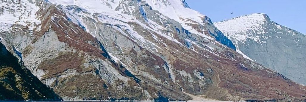NengQisha's profile banner image