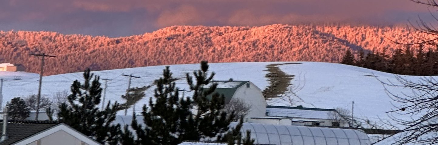 MFVNA's profile banner image