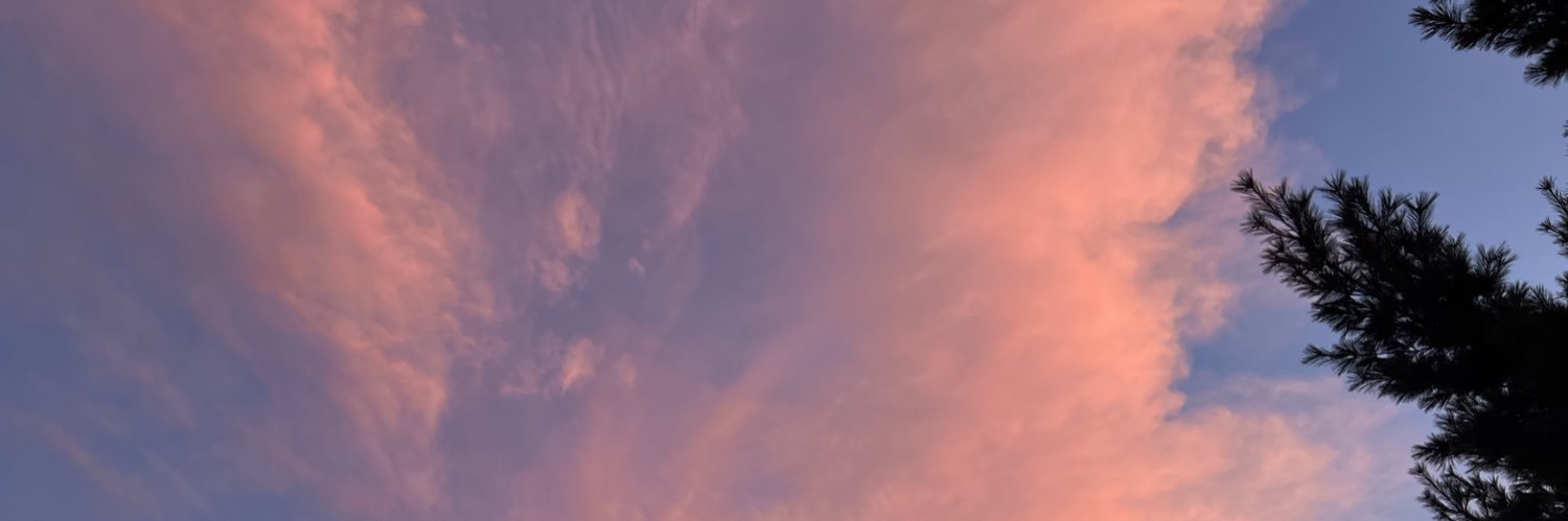 beekapeeka's profile banner image
