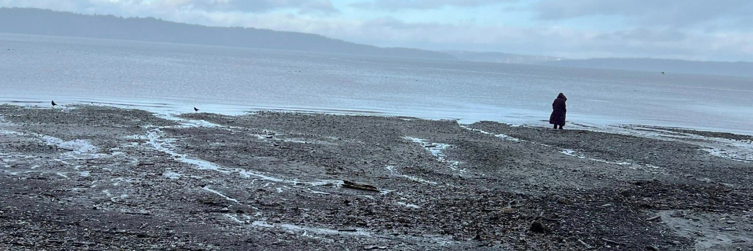 tee__low 🐀 banner