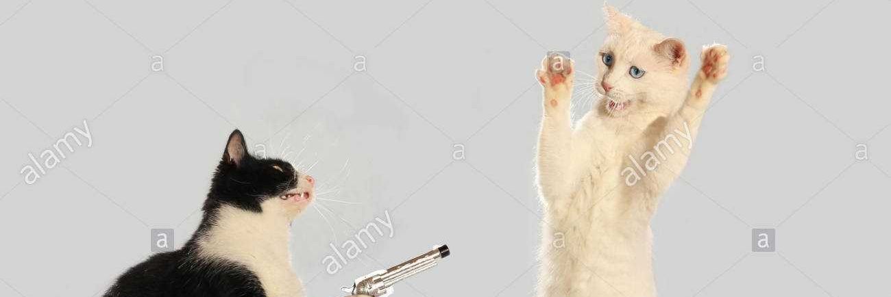 chungus moments and ∀ura banner