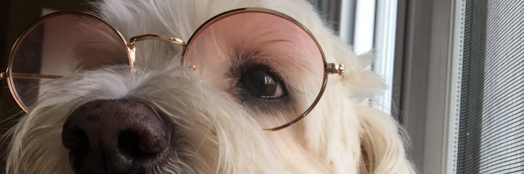 Jake___K's profile banner image
