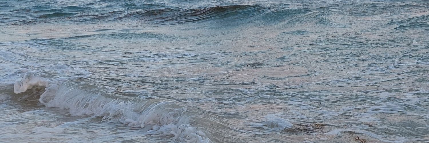 macachiappa_'s profile banner image