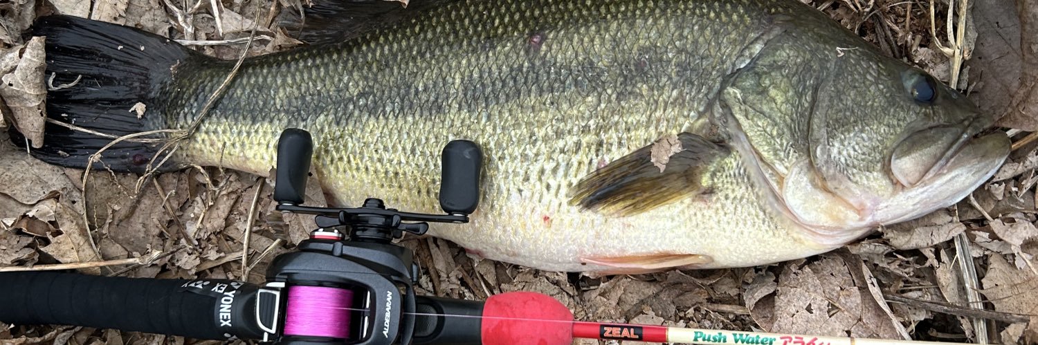 さくたろう banner