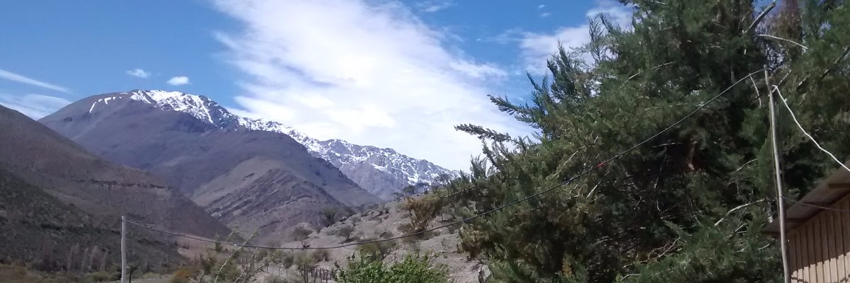 aldosaez's profile banner image