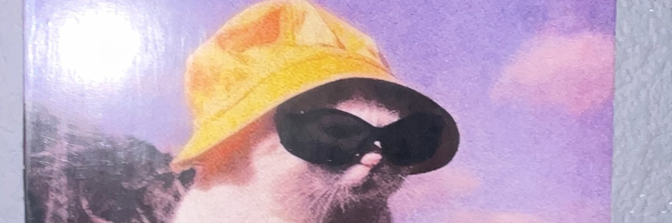 cryptotakito's profile banner image