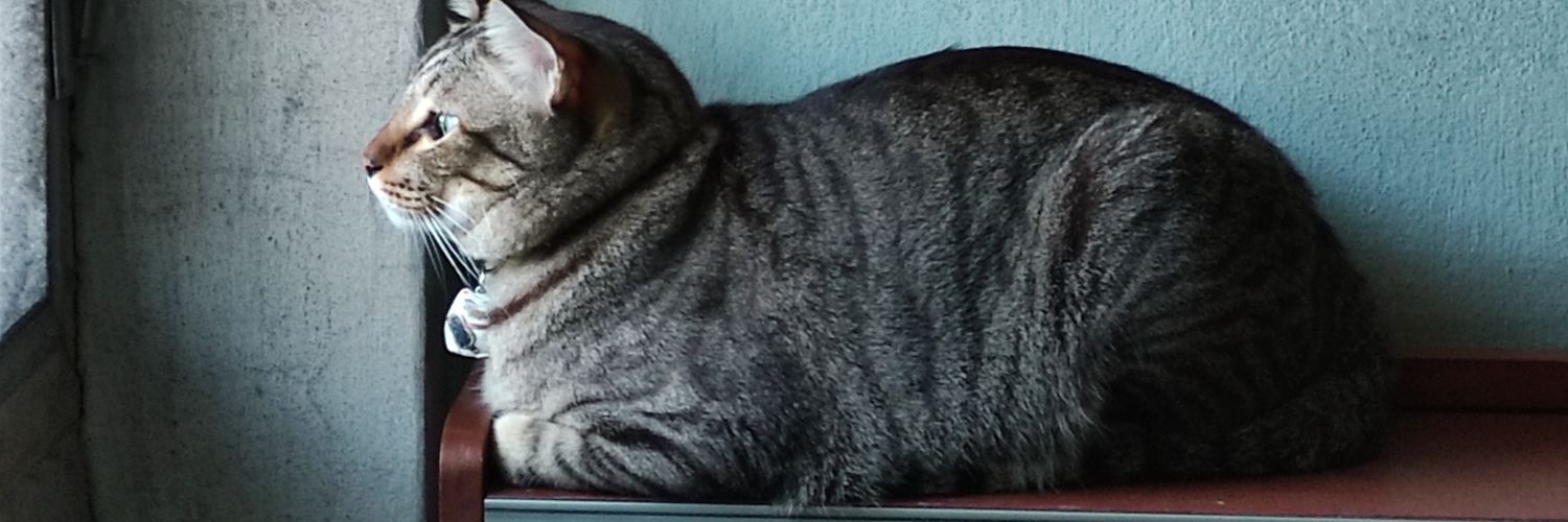 autchaaut's profile banner image