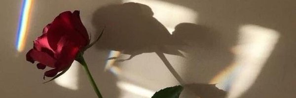 C_Roselynnn Profile Banner