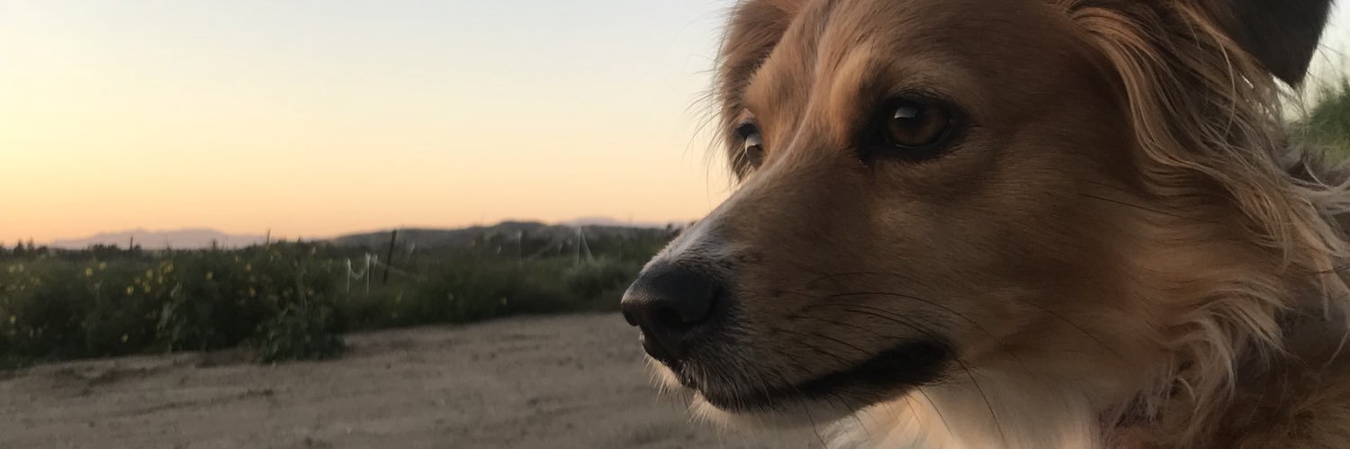 jakedeguuuzz's profile banner image