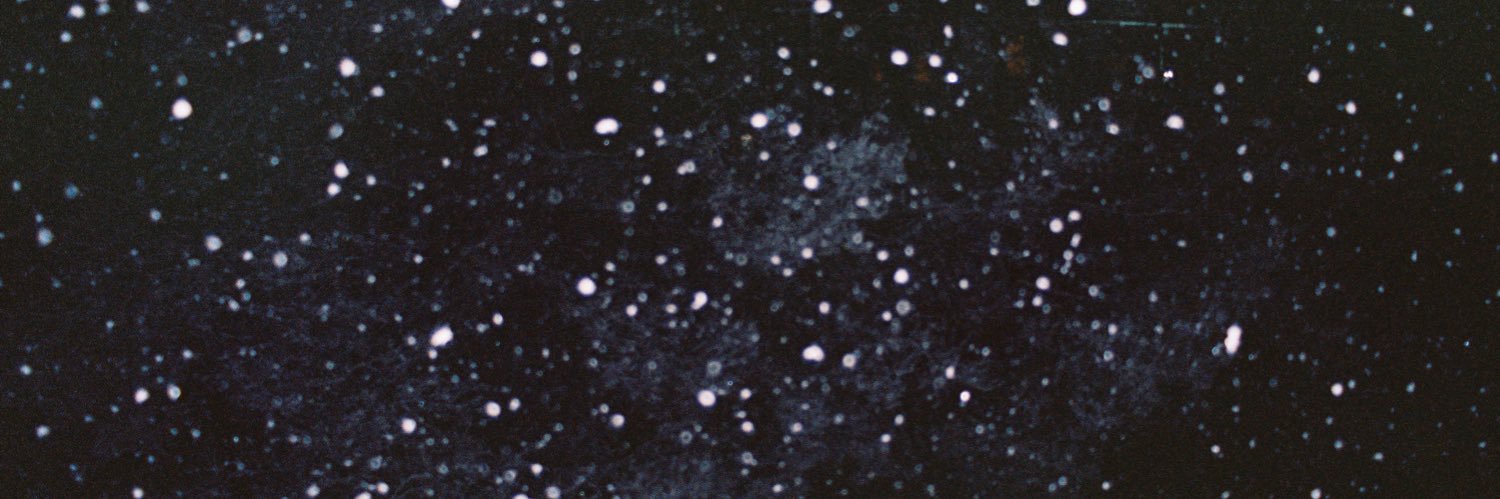 Lydia Fletcher banner