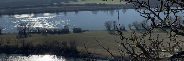 Manuel_Bauer Profile Banner