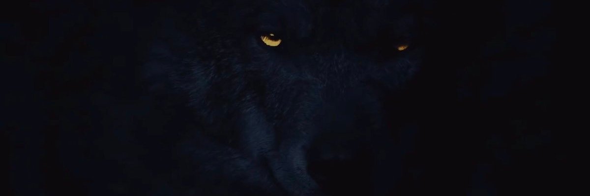 SavingFaris's profile banner image