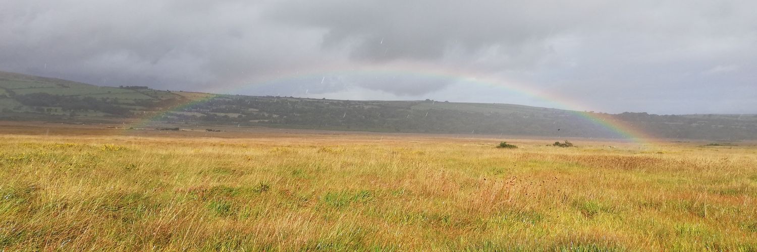 Preseli Pollen Project banner