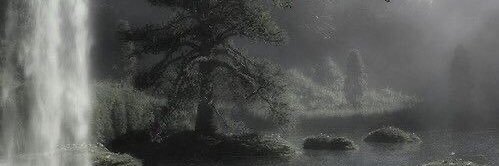 tai 𑁍 banner