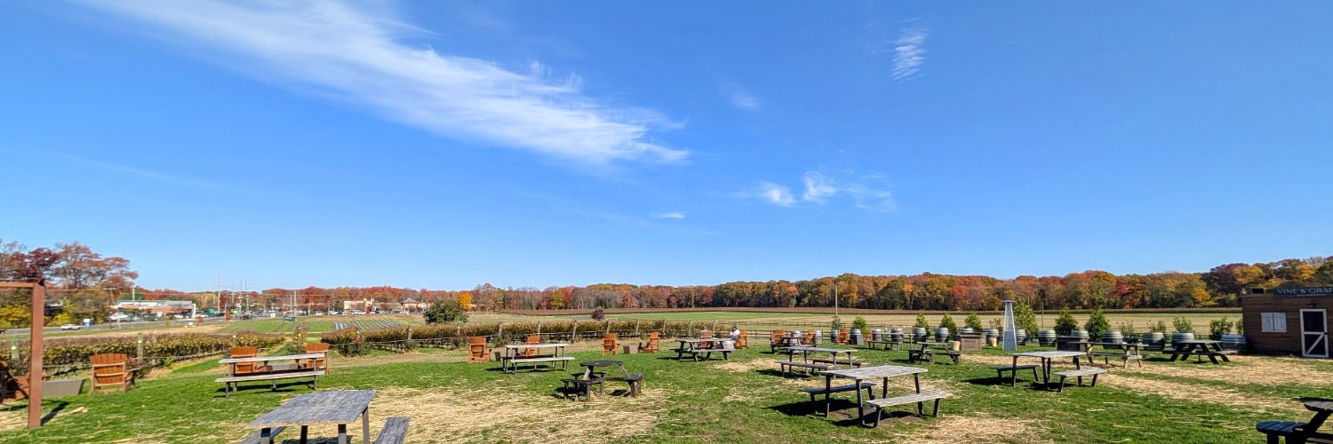 @phillygrub.bsky.social banner