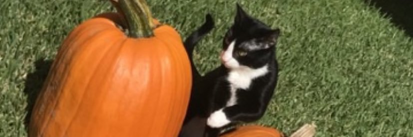 jaddethh's profile banner image