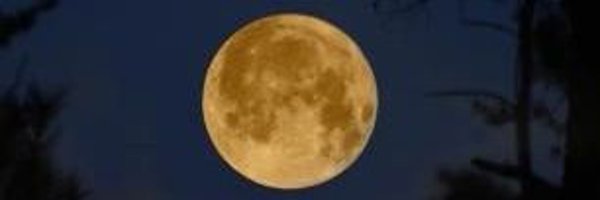 ozguradamtr Profile Banner