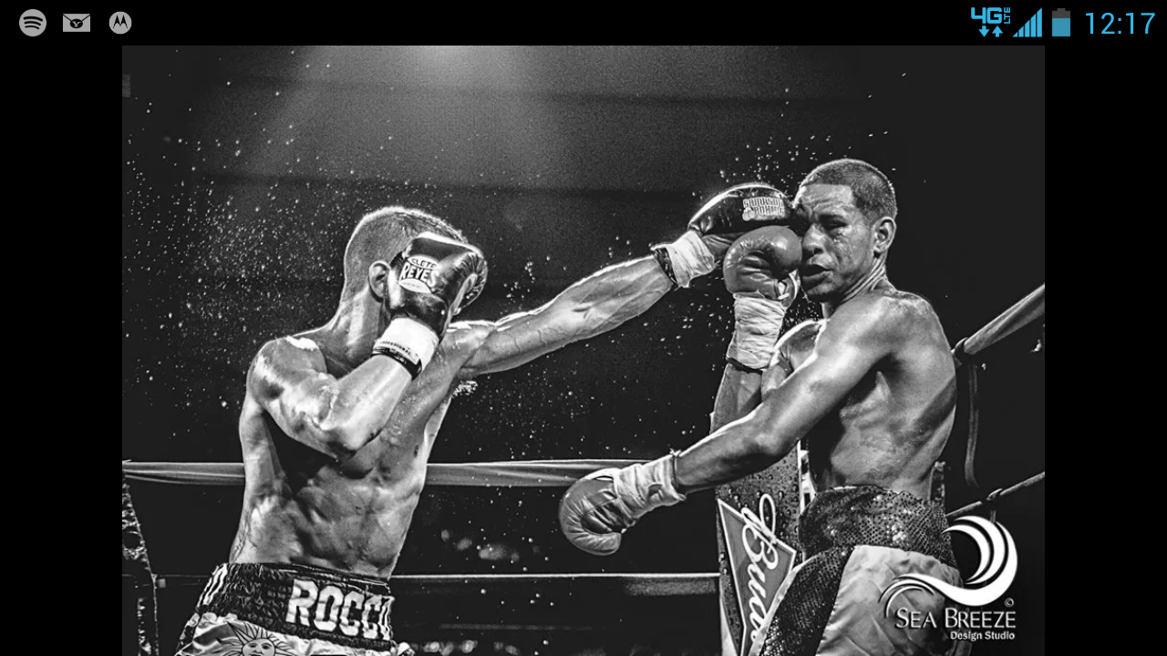 roccosantomauro's profile banner image
