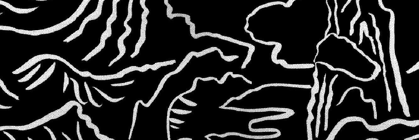 Q / Kyuha Shim banner