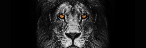 Jr_Alkane Profile Banner