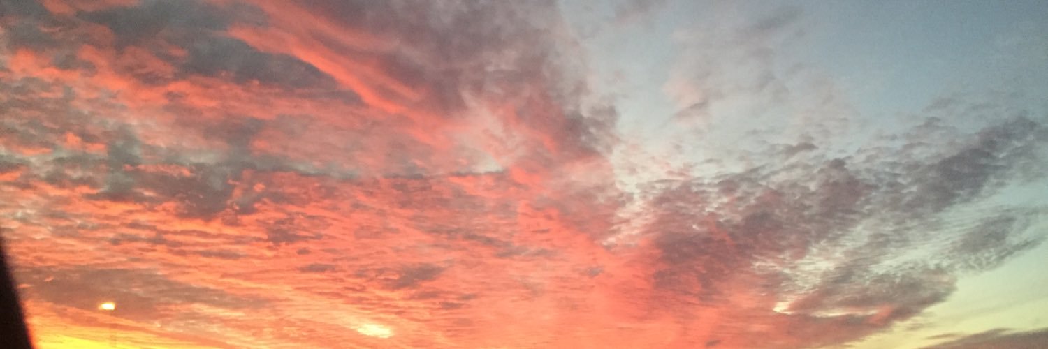 ToddMueller's profile banner image