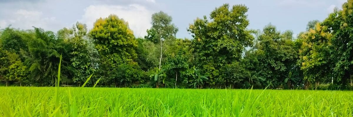 wonkcu's profile banner image