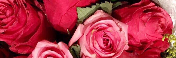 a55556786's profile banner image