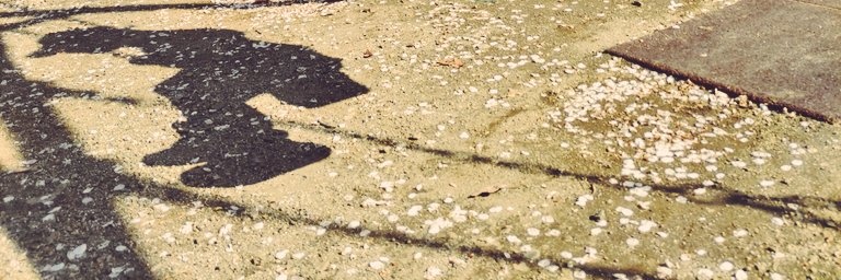 310841March's profile banner image