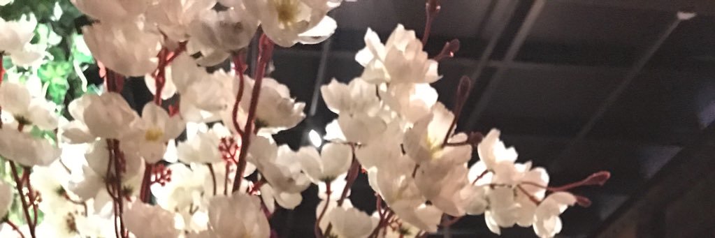 krityvats's profile banner image