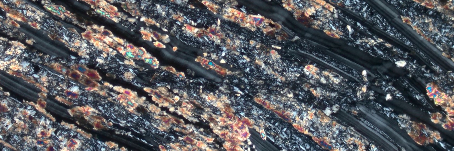 Alberto VItale Brovarone banner