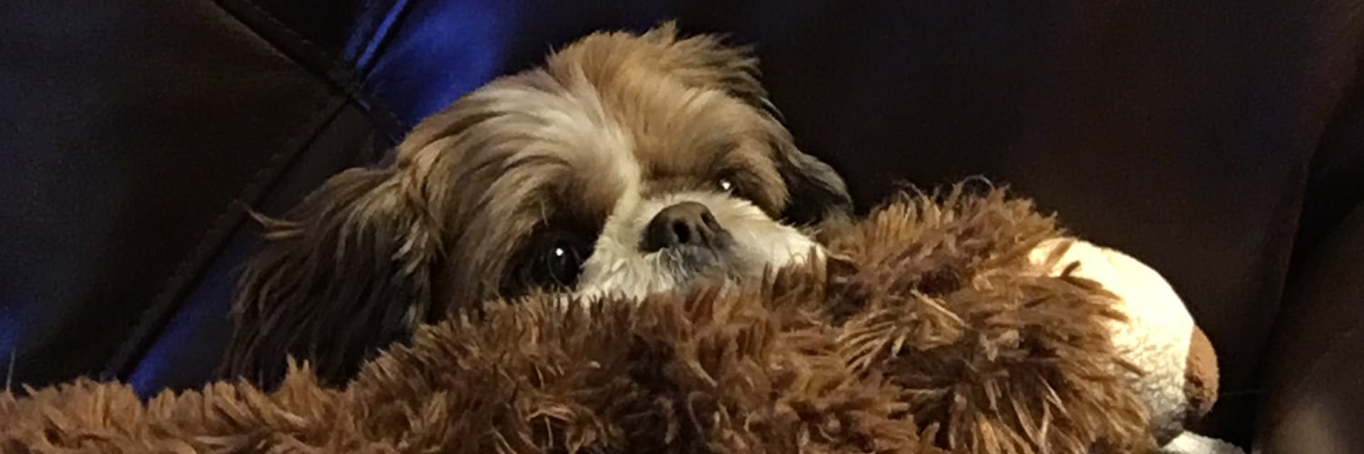 EthanmfTesta's profile banner image