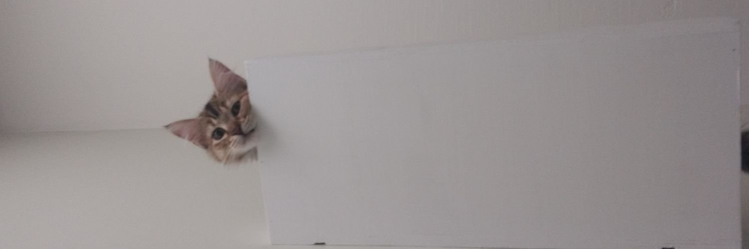 abbledee's profile banner image