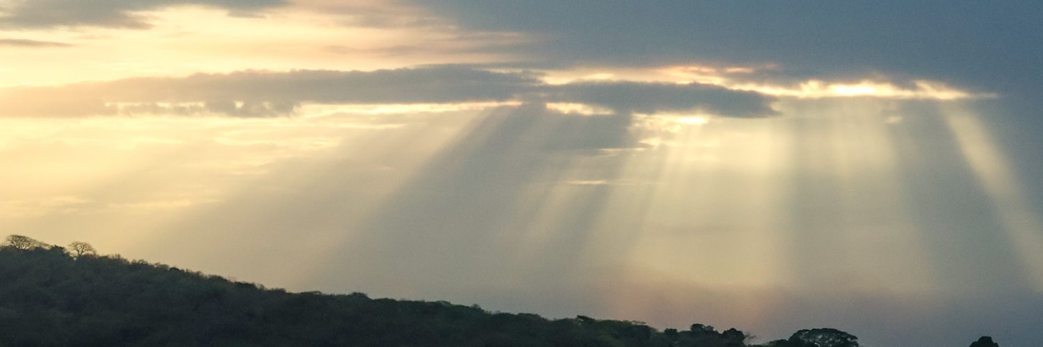 henriquesjosea's profile banner image
