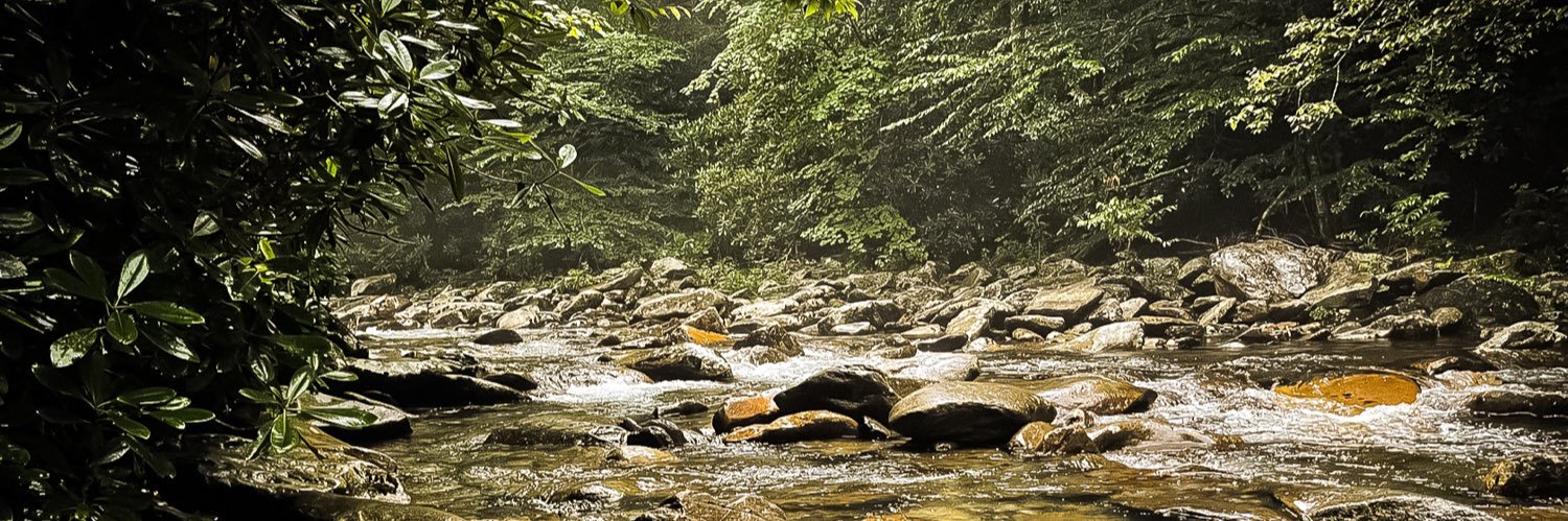 Oasis Gaming Studio banner