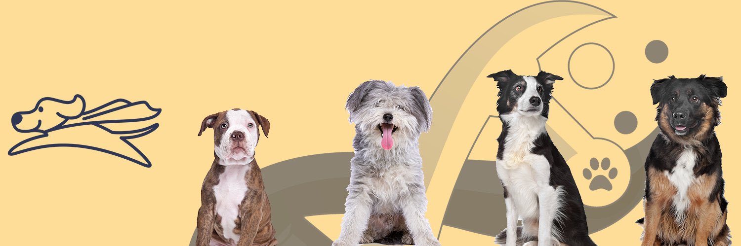 idDOG™ 🐾🧬 banner