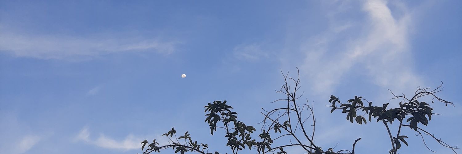 Kkamiy_'s profile banner image