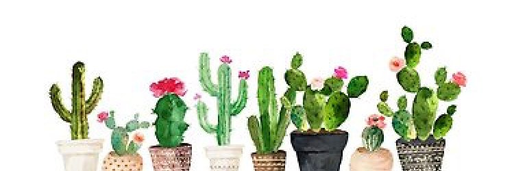 thisbethlife's profile banner image