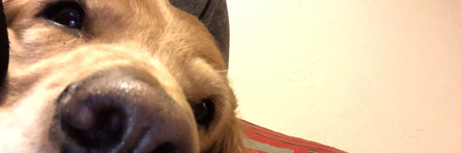 WarrenMKlein's profile banner image