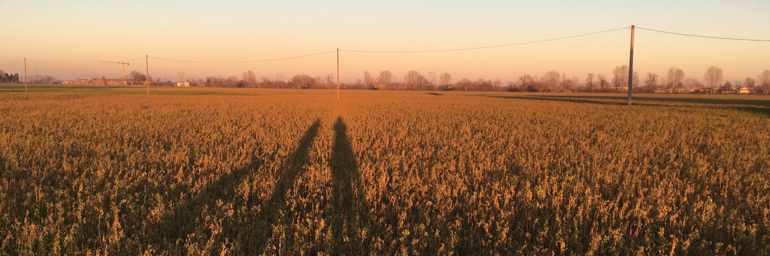 Francesca Morselli banner