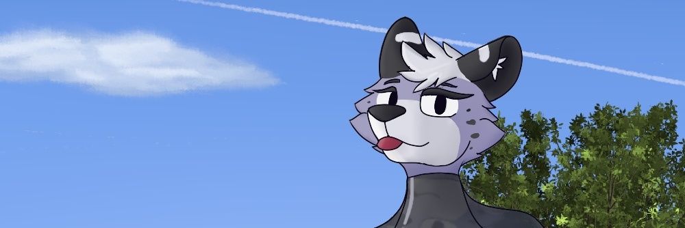 Bene-Gato 🇲🇽 Coms. (1/3) banner
