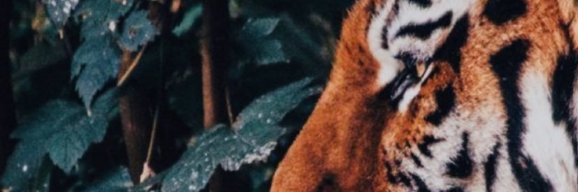 alvaradodja's profile banner image